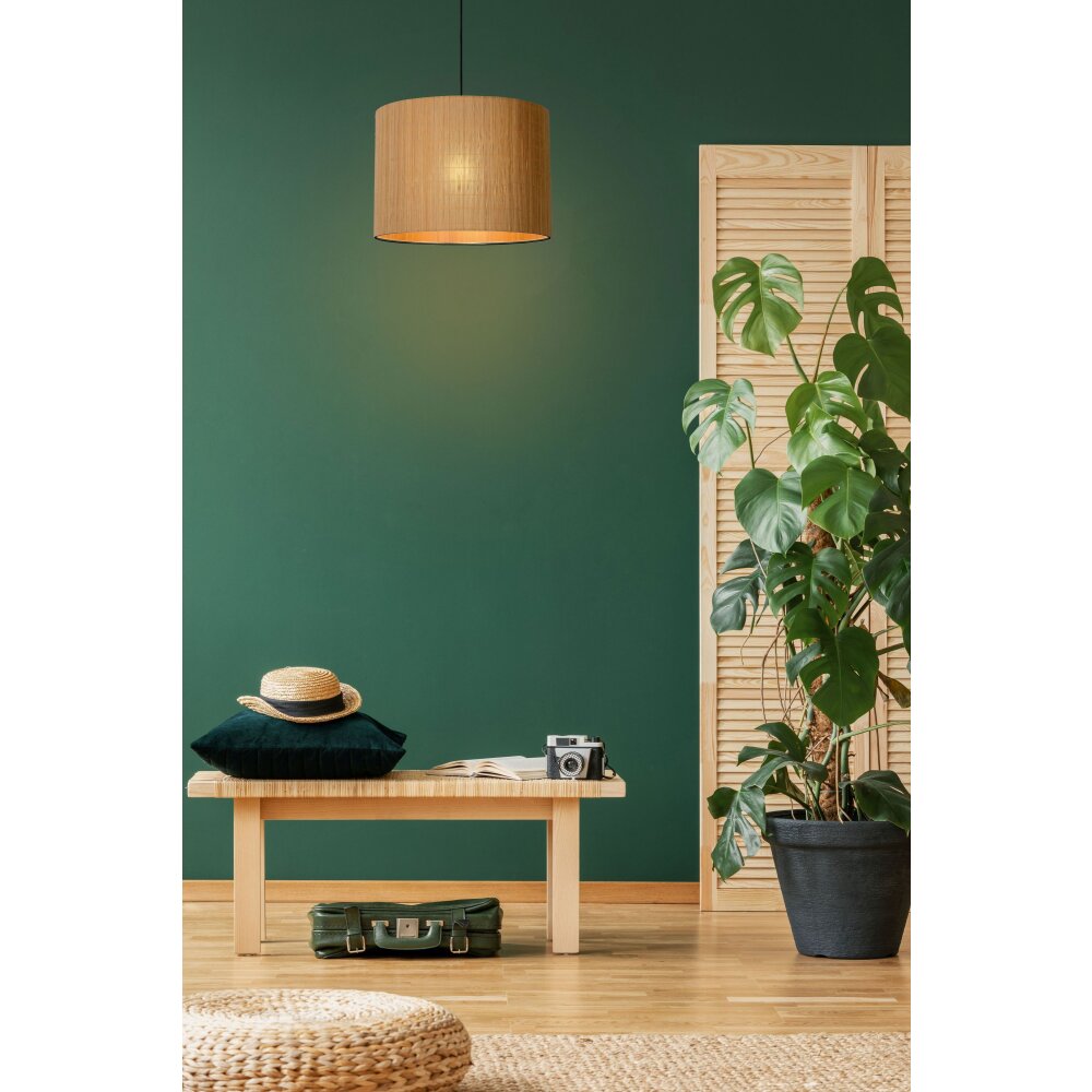 Lucide MAGIUS Hanglamp Zwart, 1-licht main product photo
