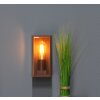 Lutec Mondrian Buiten muurverlichting Brons, 1-licht