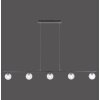 Paul Neuhaus WIDOW Hanglamp LED Zwart, 5-lichts