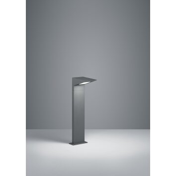 Trio Nelson Padverlichting LED Antraciet, 1-licht