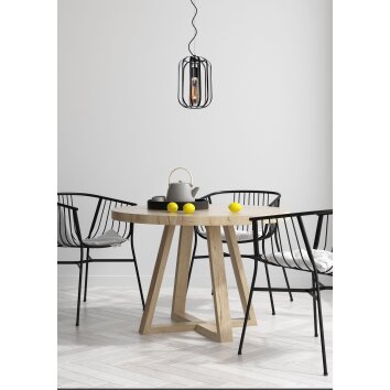 Lucide FERN Hanglamp Zwart, 1-licht