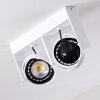 Grytgol Plafondlamp Wit, 2-lichts