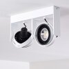 Grytgol Plafondlamp Wit, 2-lichts