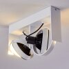 Grytgol Plafondlamp Wit, 2-lichts