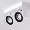 Grytgol Plafondlamp Wit, 2-lichts