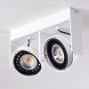 Grytgol Plafondlamp Wit, 2-lichts