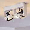 Grytgol Plafondlamp Wit, 2-lichts