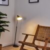 Corralcay Staande lamp Chroom, Zwart, 1-licht