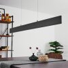 Aduard Hanglamp LED Antraciet, 2-lichts