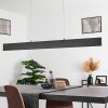 Aduard Hanglamp LED Antraciet, 2-lichts