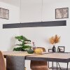 Aduard Hanglamp LED Antraciet, 2-lichts
