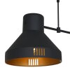 Steinhauer Evy Hanglamp Goud, Zwart, 2-lichts