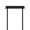 Steinhauer Evy Hanglamp Goud, Zwart, 2-lichts