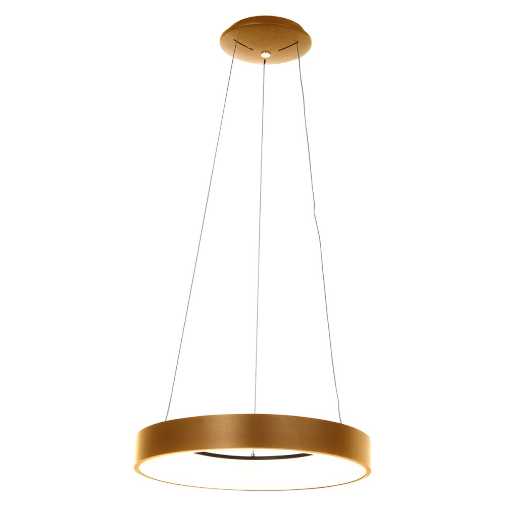 Steinhauer Ringlede Hanglamp Goud, Wit, 1-licht main product photo