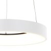 Steinhauer Ringlede Hanglamp Wit, 1-licht