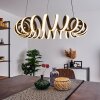 Maziwa Hanglamp LED Zwart, Wit, 1-licht