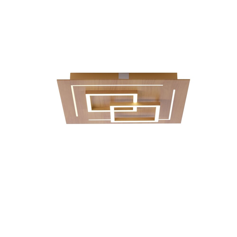 Paul Neuhaus Q-LINEA Plafondlamp LED Hout licht, 4-lichts, Afstandsbediening main product photo