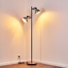 Hora Staande lamp Zwart, 2-lichts