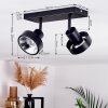 Chagres Plafondlamp Zwart, Zilver, 2-lichts