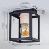 Turiza Plafondlamp Hout donker, Zwart, 1-licht