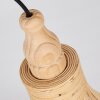 Egede Hanger Bruin, 1-licht