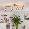Warga Plafondlamp LED Nikkel mat, 4-lichts