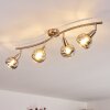 Warga Plafondlamp LED Nikkel mat, 4-lichts