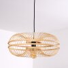 Ellekom Hanglamp Zwart, 1-licht