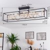 Pericos Plafondlamp LED Goud, Zwart, 4-lichts
