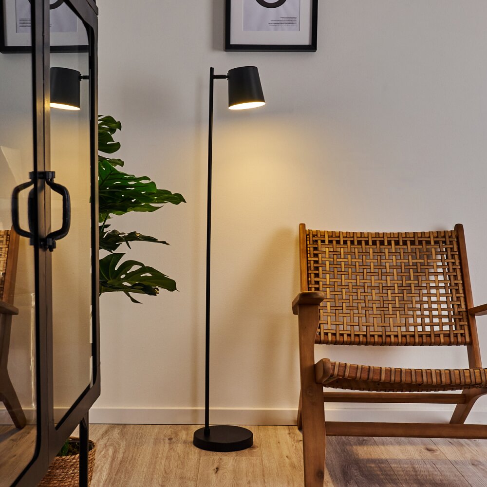 Tontolos Staande lamp LED Zwart, 1-licht main product photo