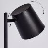Tontolos Staande lamp LED Zwart, 1-licht