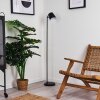 Tontolos Staande lamp LED Zwart, 1-licht
