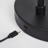 Tontolos Staande lamp LED Zwart, 1-licht
