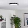 Kragos Plafondlamp LED Zwart, Wit, 1-licht