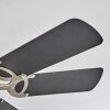Trillo plafondventilator Grijs, Nikkel mat, Wit, 1-licht