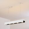 Bacoor Hanglamp LED Zwart, Wit, 5-lichts