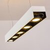 Bacoor Hanglamp LED Zwart, Wit, 5-lichts