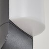 Bovlund Buiten muurverlichting LED Zwart, 1-licht