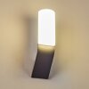 Bovlund Buiten muurverlichting LED Zwart, 1-licht