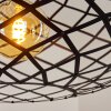 Shupá Hanger Zwart, 1-licht