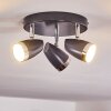 Idlewild Plafondlamp LED Zwart, 3-lichts