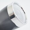 Idlewild Plafondlamp LED Zwart, 3-lichts