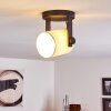 Gibraltar Plafondlamp Zwart, 1-licht