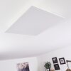 Sordos Plafondlamp LED Wit, 1-licht, Bewegingsmelder