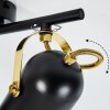 Rialey Plafondlamp Messing, Zwart, 2-lichts