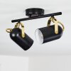 Rialey Plafondlamp Messing, Zwart, 2-lichts