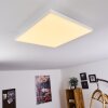 Buenaventura Plafondlamp LED Wit, 1-licht, Afstandsbediening
