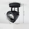 Glostrup Plafondlamp LED Zwart, 1-licht