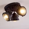 Glostrup Plafondlamp LED Zwart, 3-lichts