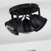 Glostrup Plafondlamp LED Zwart, 3-lichts